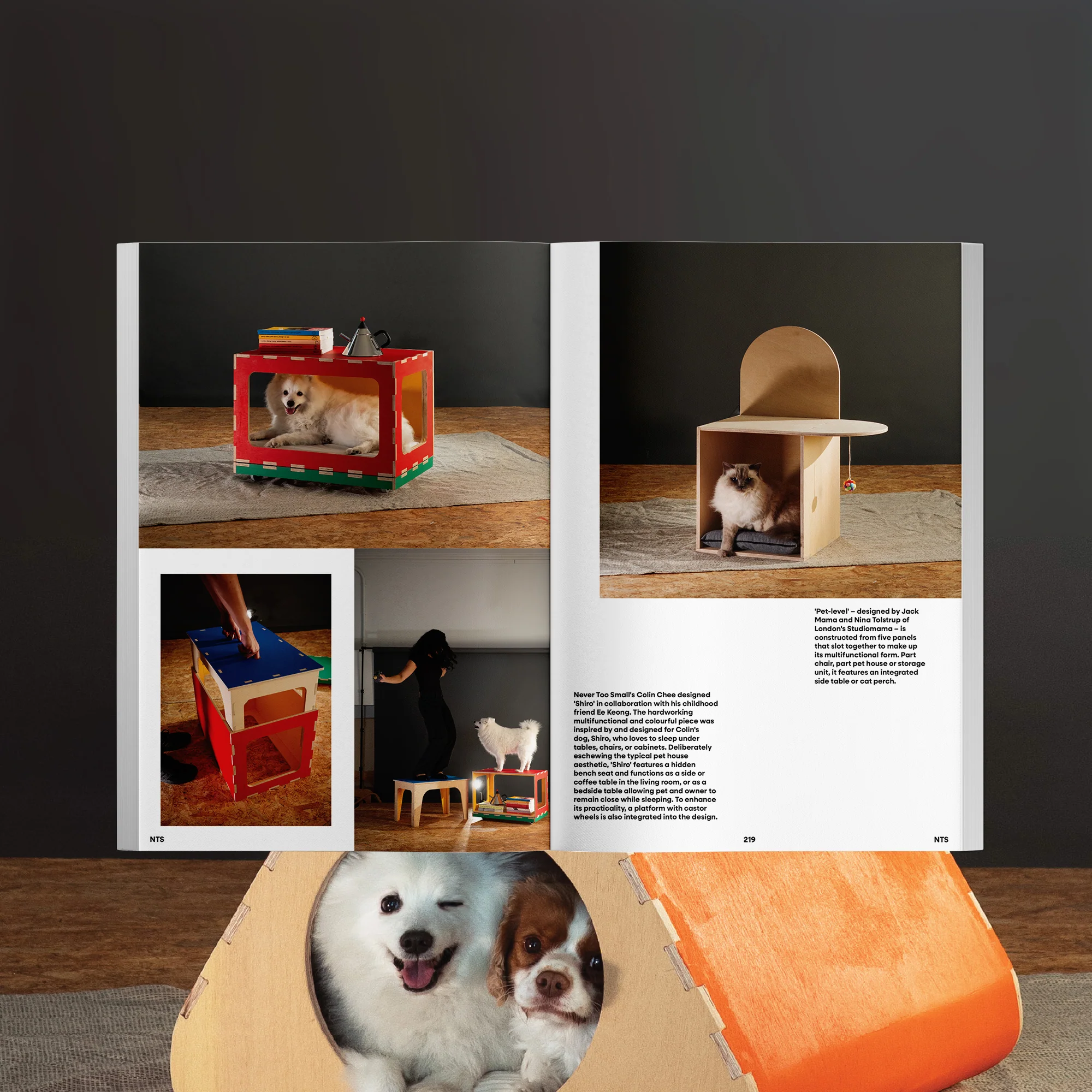 NTS Mag - Annual Subscription - Image 3
