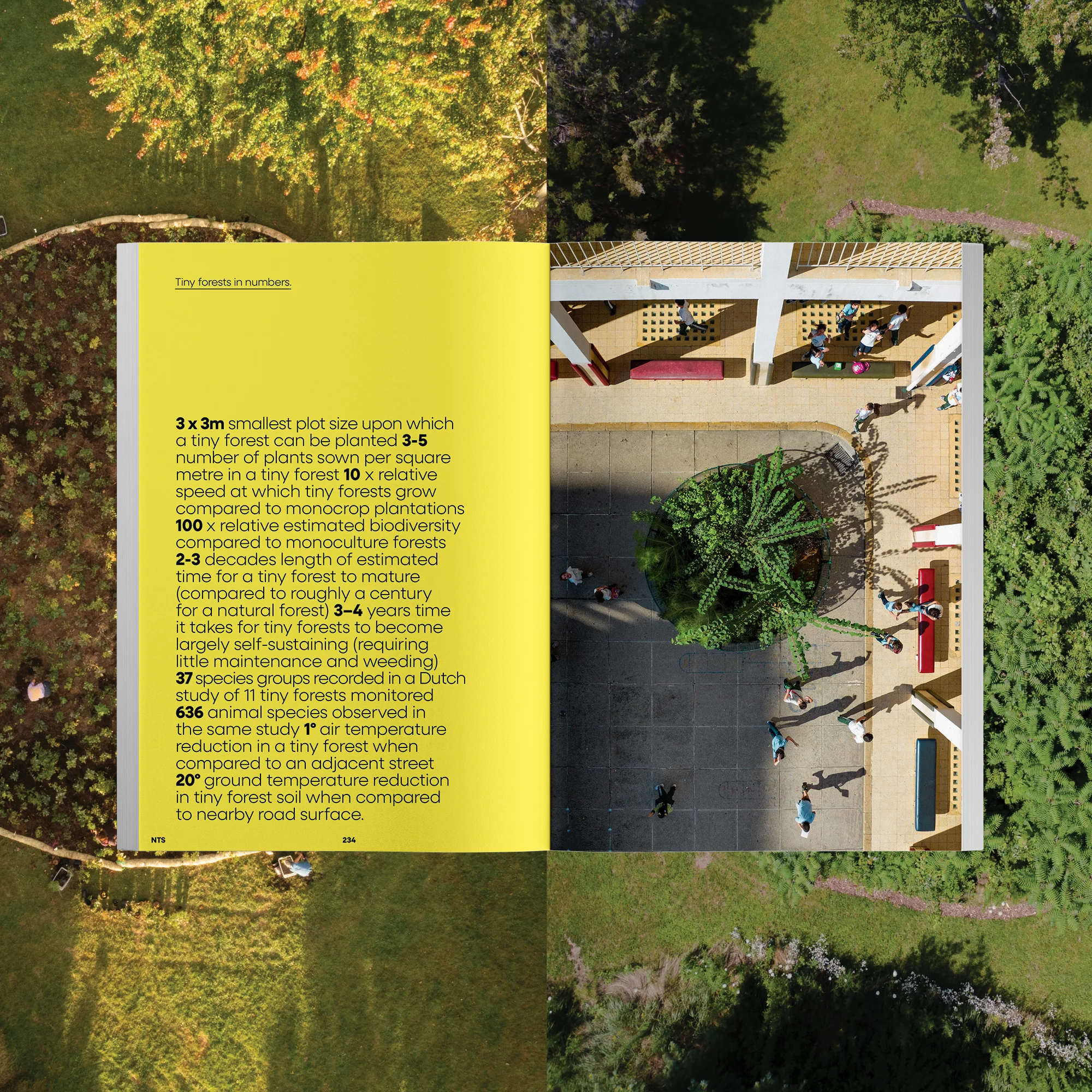 NTS Magazine - Issue 1 - Image 3
